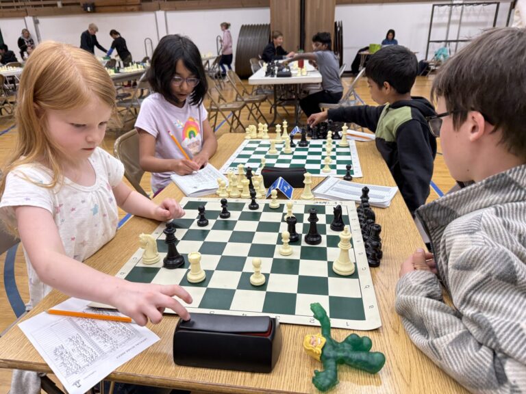 Read more about the article 2025 May Flowers Open II Tournament Report